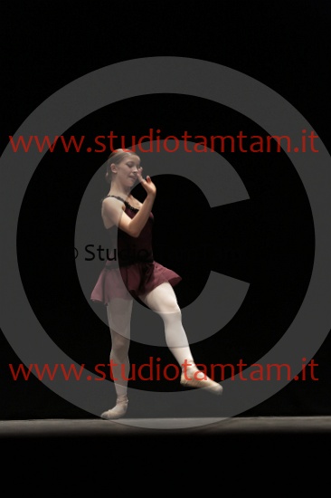 MAT_4061.JPG