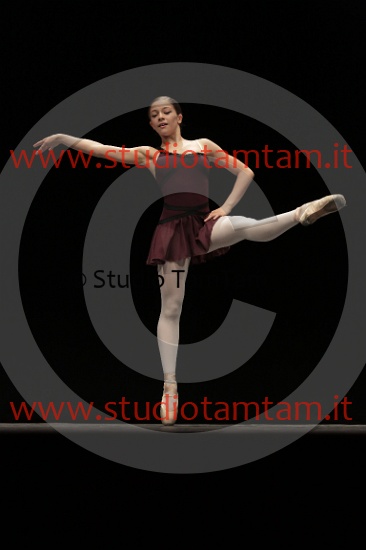 MAT_4088.JPG