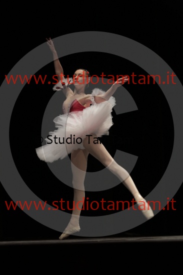 MAT_4166.JPG