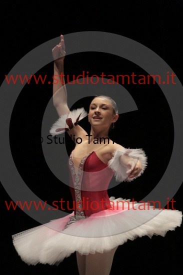 MAT_4168.JPG