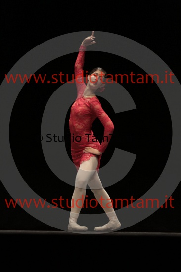 MAT_4204.JPG
