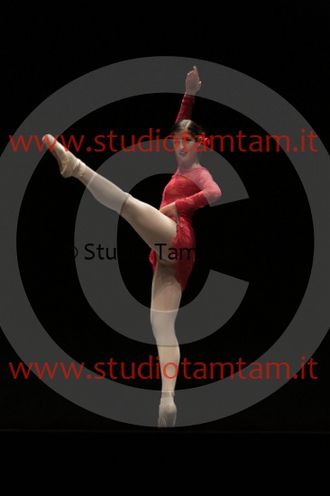 MAT_4208.JPG