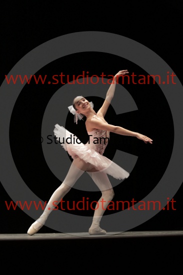 MAT_4220.JPG