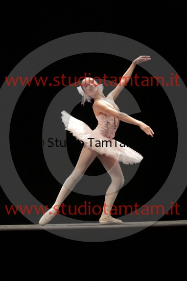 MAT_4222.JPG