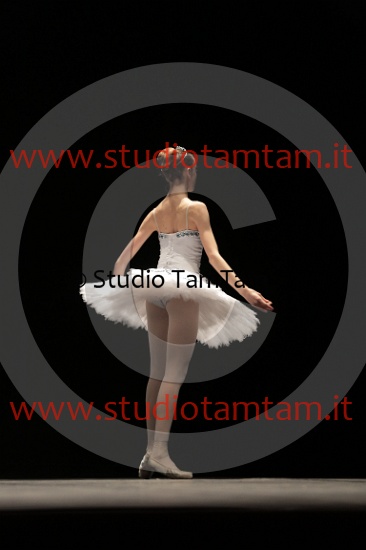 MAT_4275.JPG