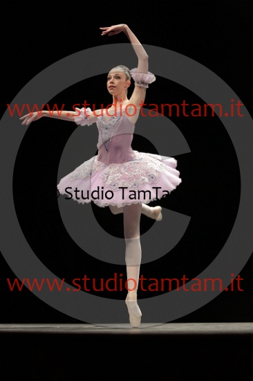 MAT_4253.JPG