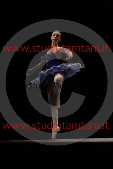 MAT_4305.JPG