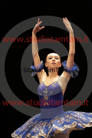 MAT_4313.JPG