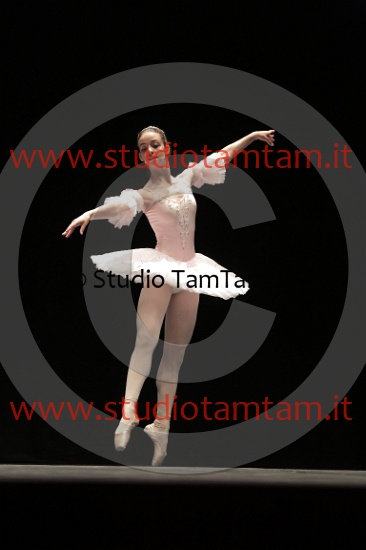 MAT_4337.JPG