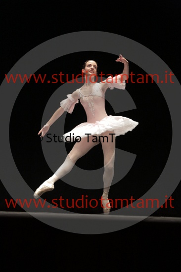 MAT_4343.JPG