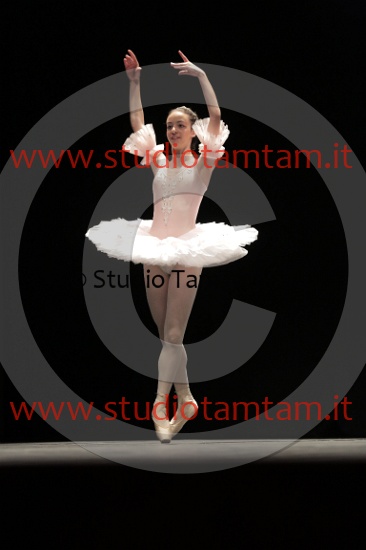 MAT_4345.JPG