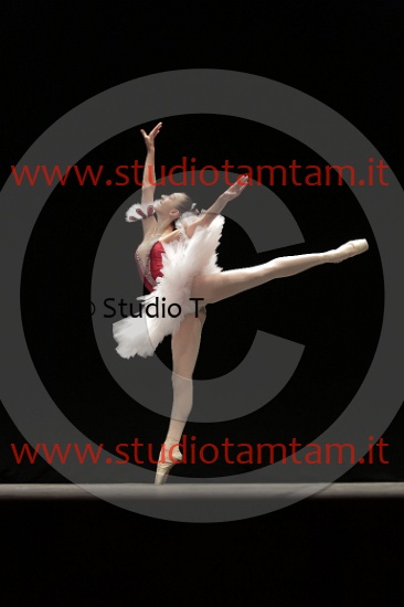 MAT_4384.JPG