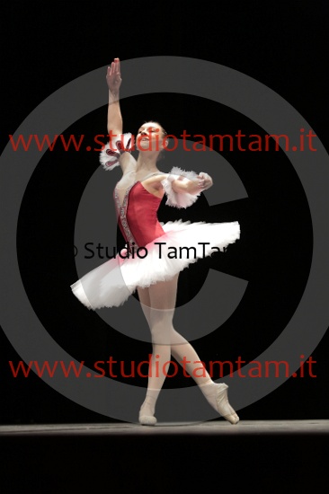 MAT_4388.JPG
