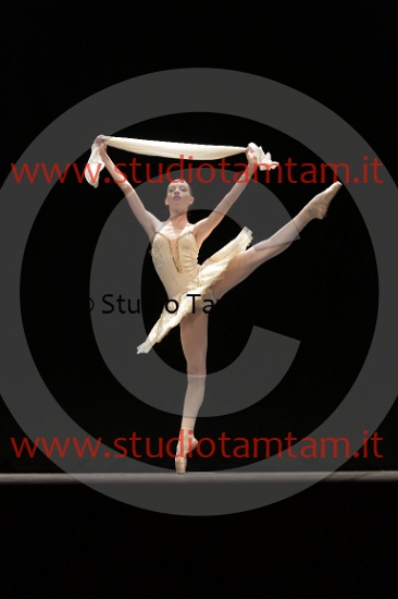 MAT_4399.JPG