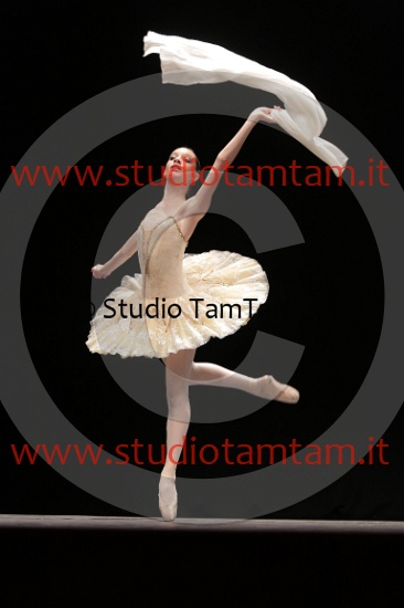 MAT_4412.JPG