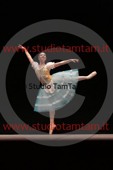 MAT_4506.JPG
