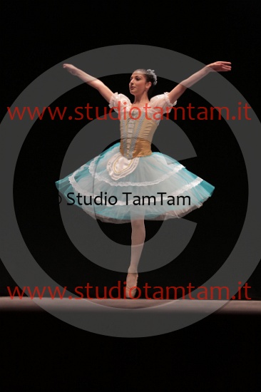MAT_4508.JPG