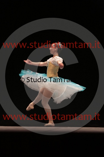 MAT_4511.JPG