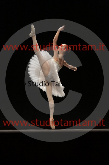 MAT_4531.JPG