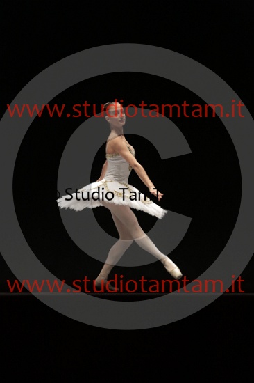 MAT_4536.JPG