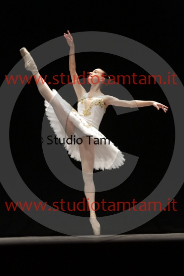 MAT_4540.JPG