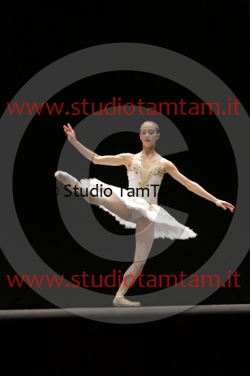 MAT_4541.JPG