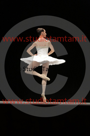 MAT_4550.JPG