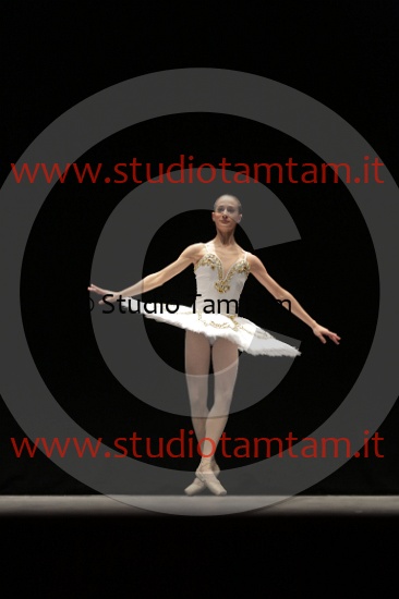 MAT_4554.JPG