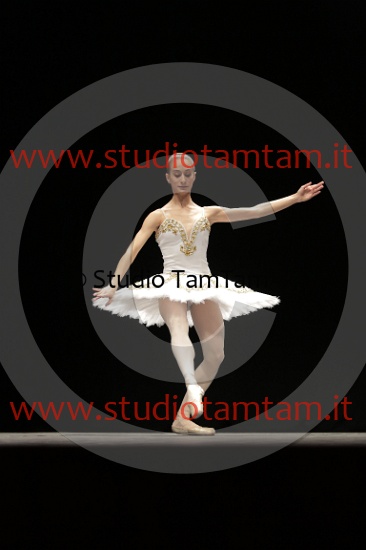 MAT_4558.JPG
