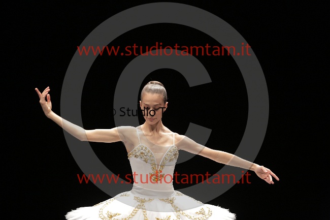 MAT_4559.JPG