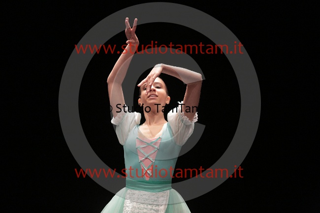MAT_4583.JPG