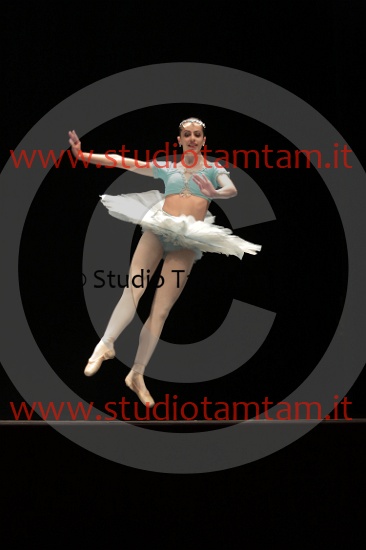 MAT_4600.JPG