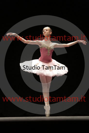 MAT_4619.JPG
