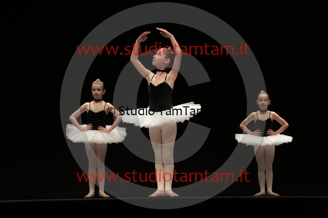 MAT_5481.JPG