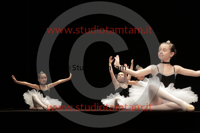 MAT_5511.JPG
