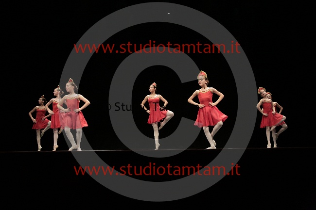 MAT_6318.JPG