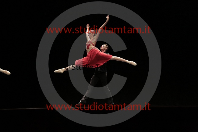 MAT_6853.JPG
