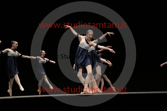 MAT_6970.JPG