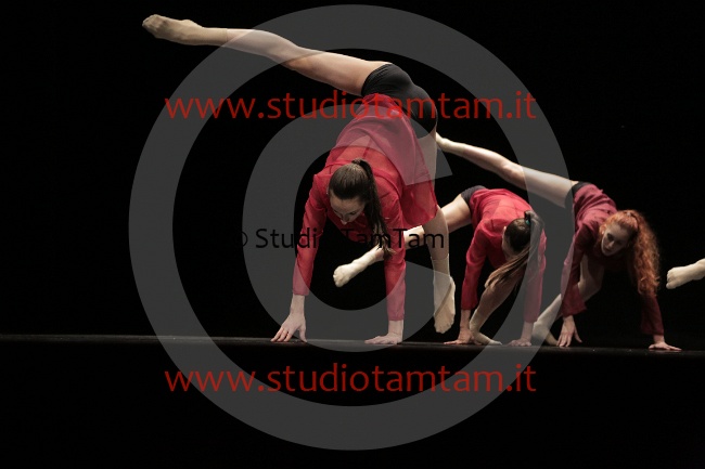 MAT_9352.JPG