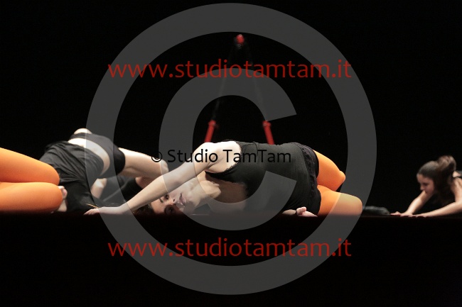 MAT_9674.JPG