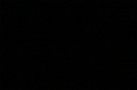 IMGB6788