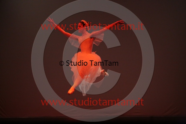 MAT_7109.JPG