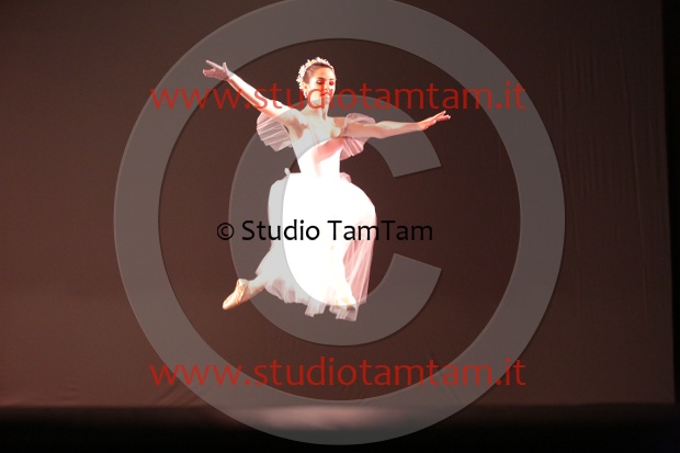 MAT_7153.JPG