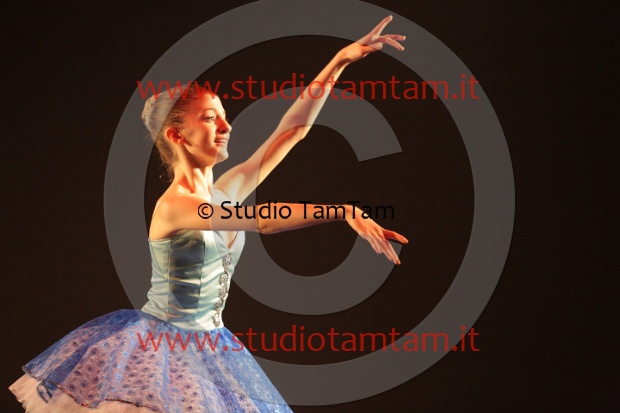 MAT_7295.JPG