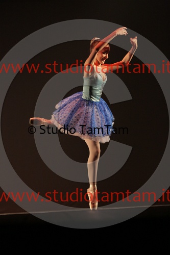 MAT_7305.JPG