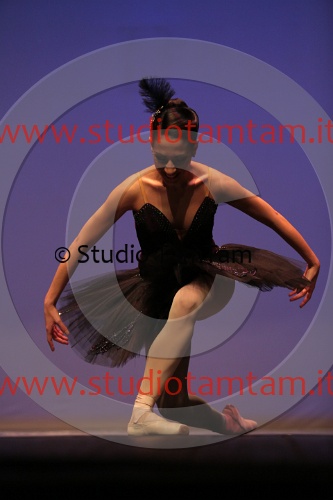 MAT_8028.JPG
