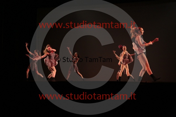 MAT_8640.JPG