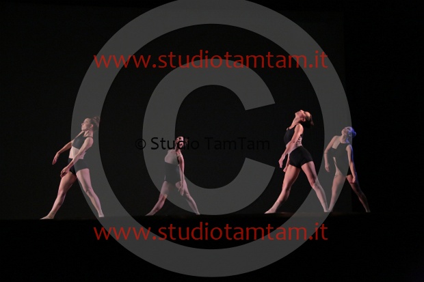MAT_8741.JPG