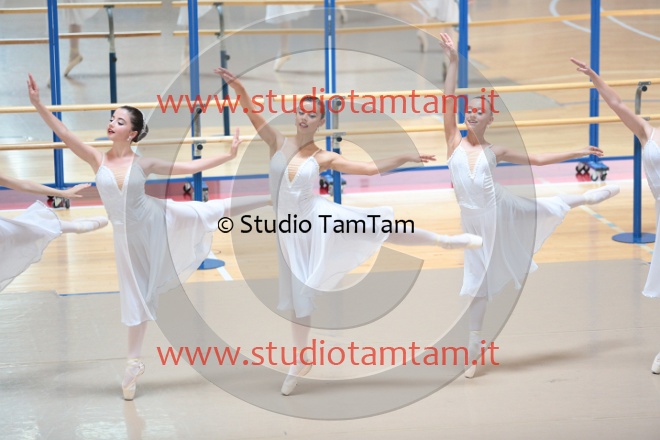 MAT_0193.JPG