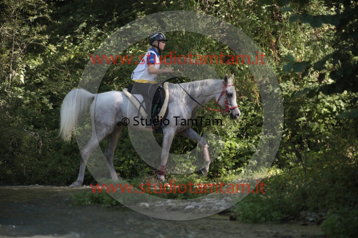 MAT_5134.JPG